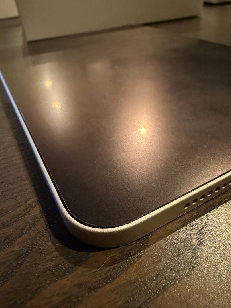 「楓」iPad mini (第6世代) 64GB