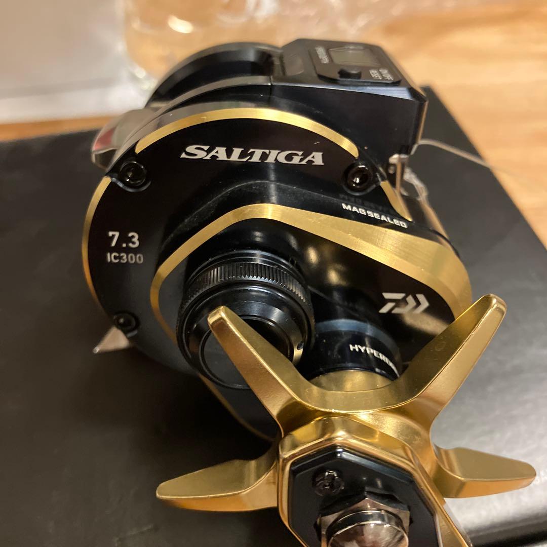 21 SALTIGA IC 300H-SJ ソルティガ