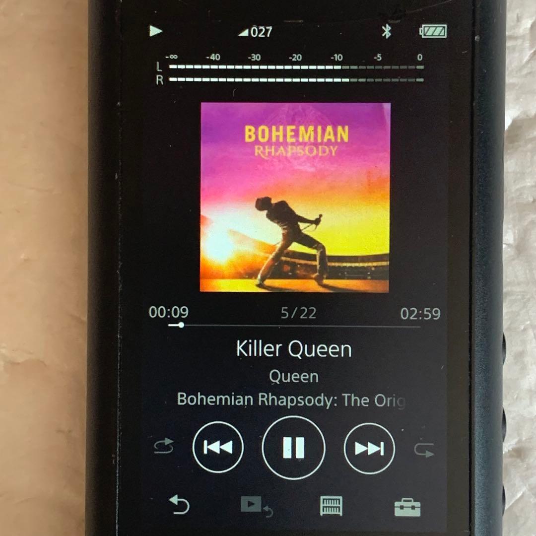 ジャンク ソニー SONY NW-ZX300 64GB