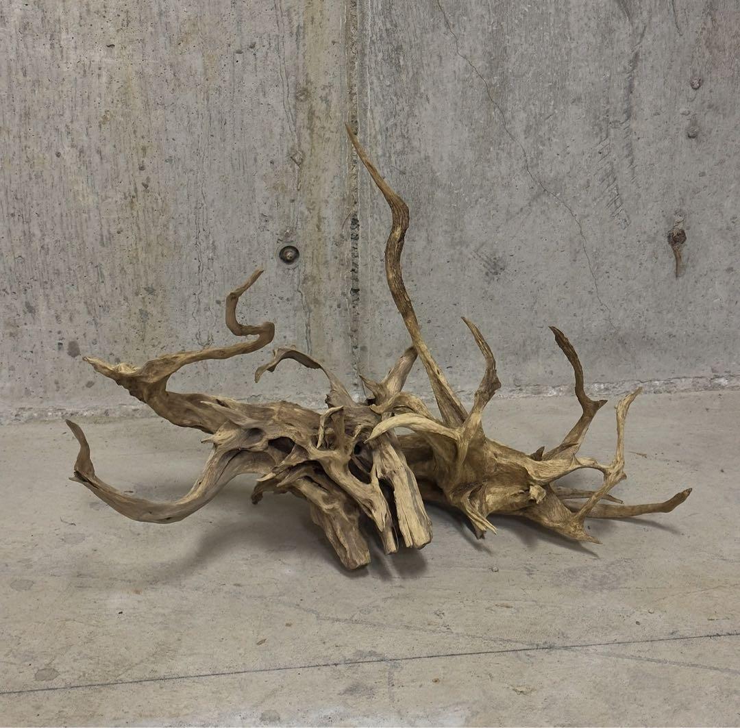 流木　アクアリウム　テラリウム　ADA