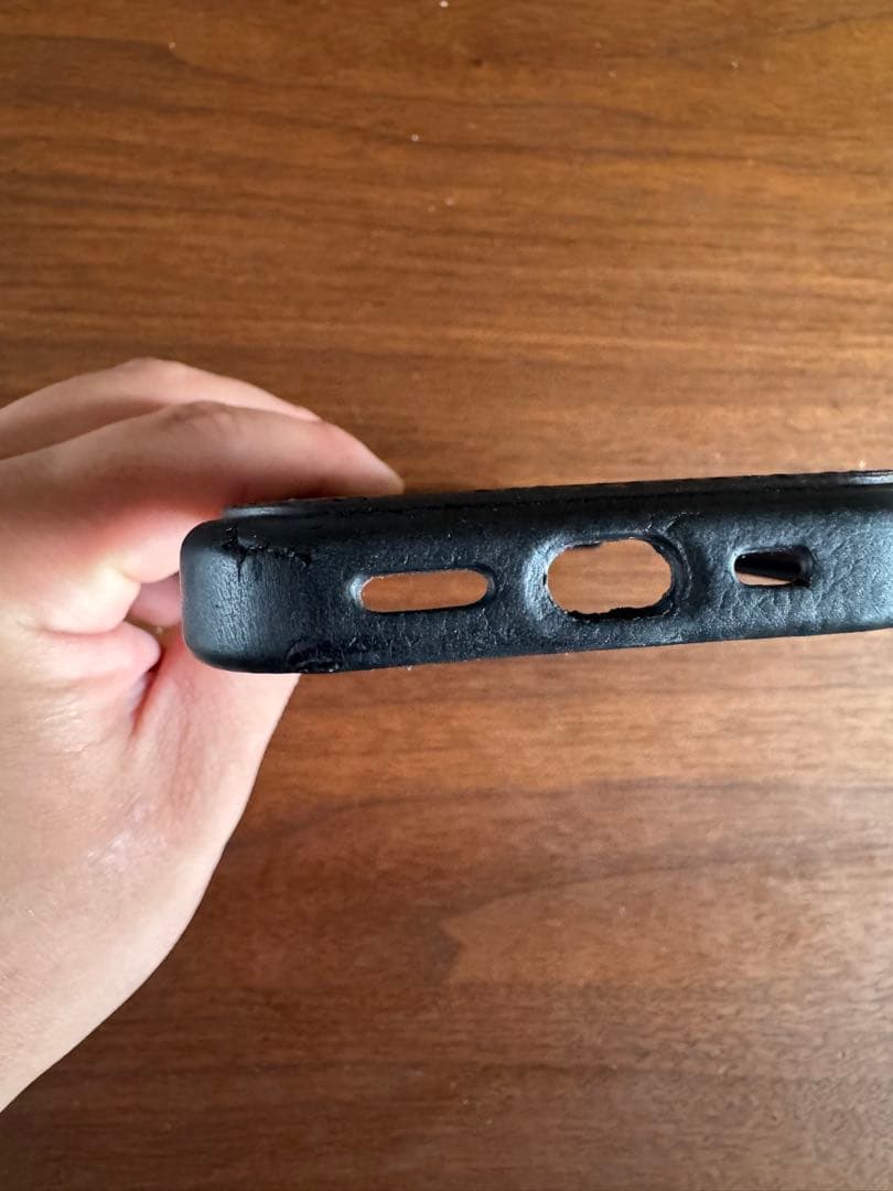 Louis Vuitton iPhone16pro用ケース モノグラム