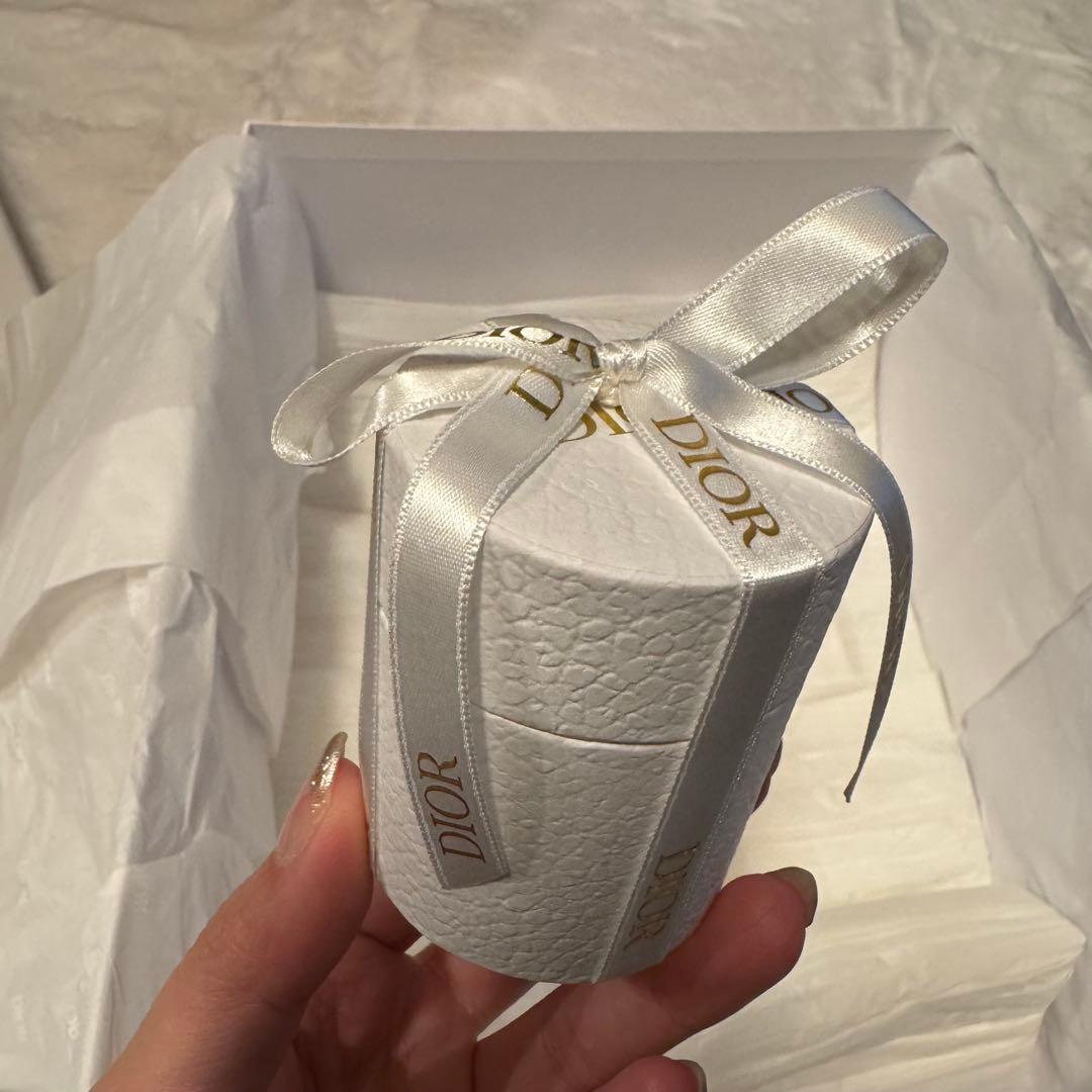 Christian Diorレディディオール ミディアム