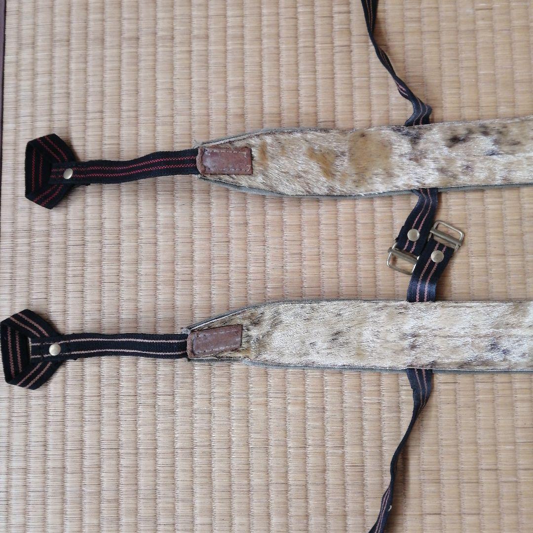 ゾンメルスキー　アザラシ　シール