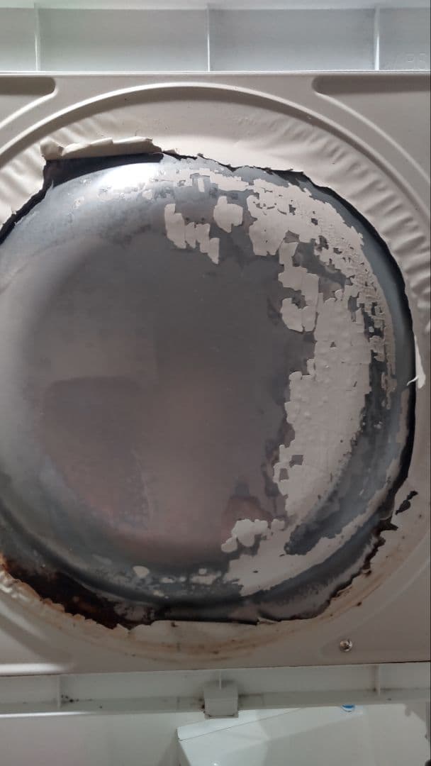 2021年製　日立 電気式乾燥機 DE-N50WV 5kg