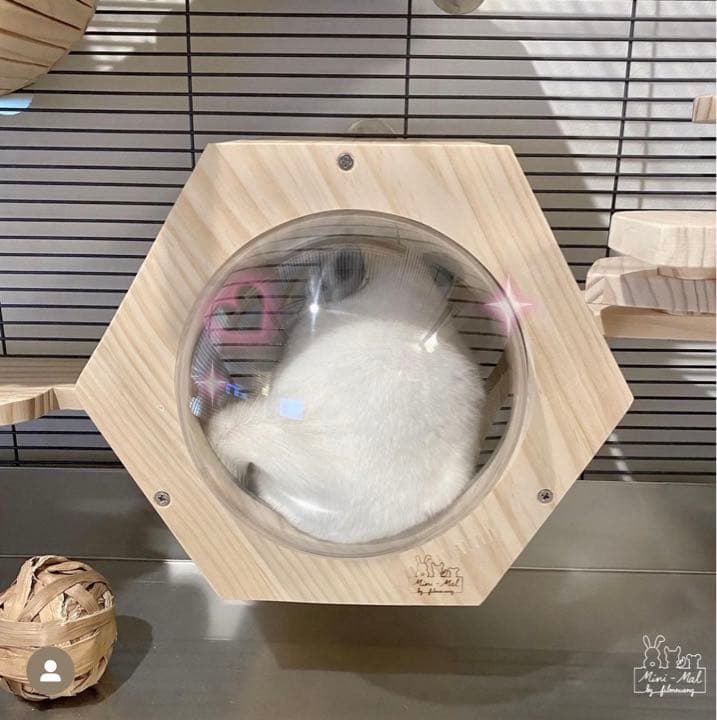 お年玉キャンペーン中!!宇宙船型ハウス チンチラハウス 小動物用 ペットハウス