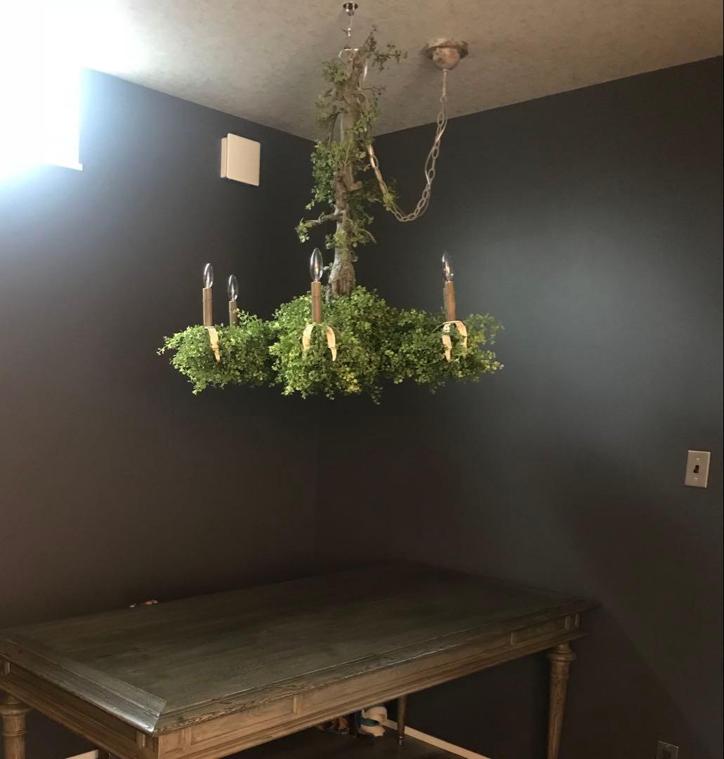 森のシャンデリア