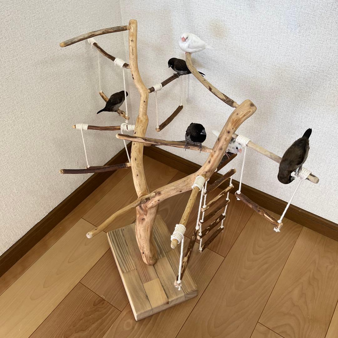 【小鳥用】わぃわぃ楽しい♬ブランコ&ハシゴ付 バードアスレチック