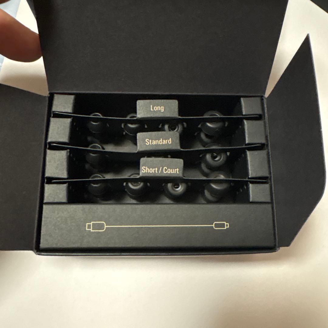 audio-technica ATH-TWX9MK2 シリコンケース付 オーテク