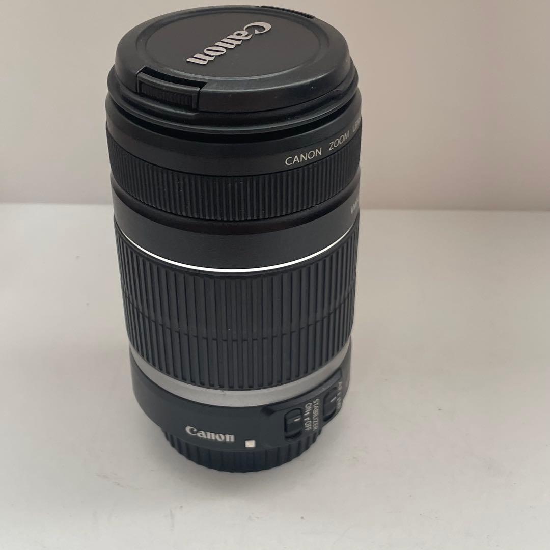 動作品 Canon EF-S 55-250mm ズームレンズ