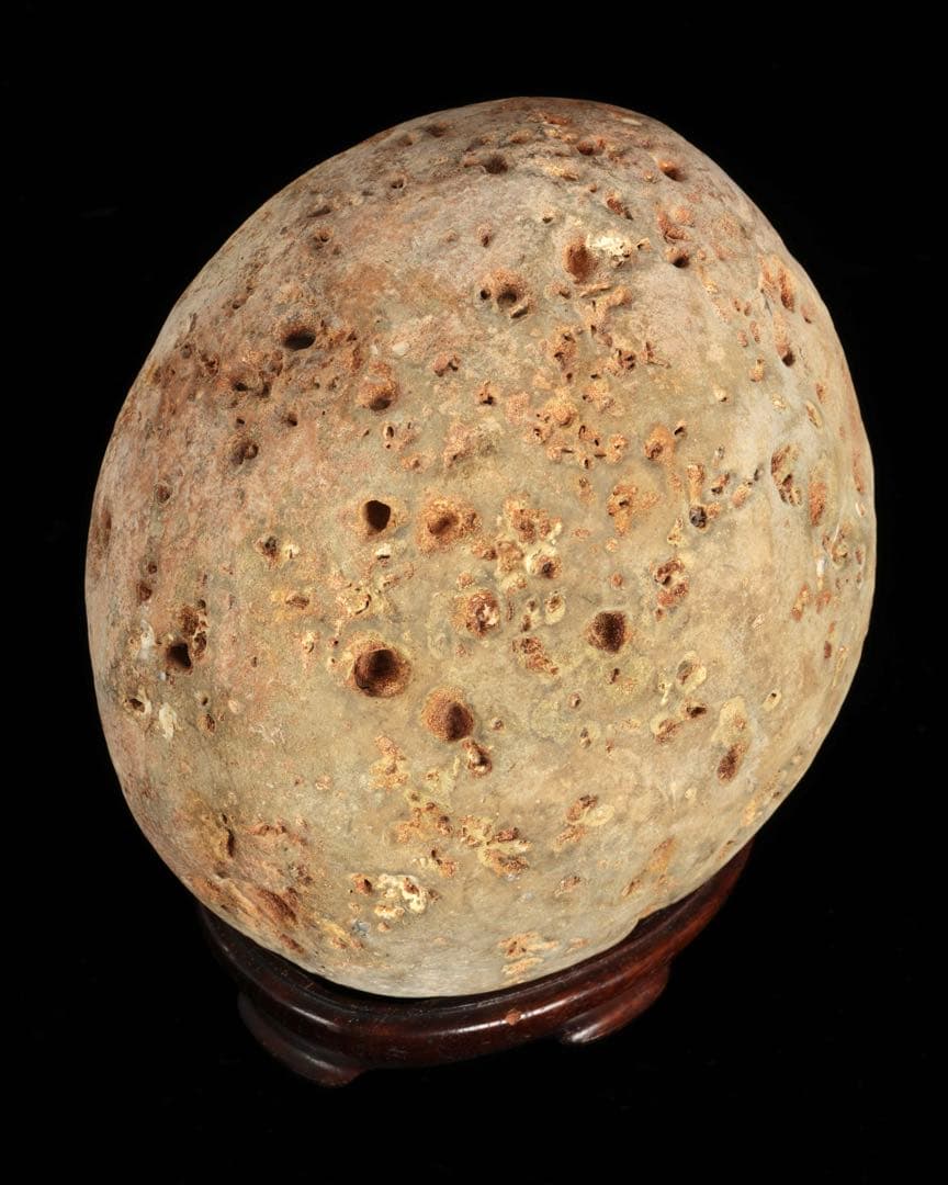 大型 多孔質 景石 火山岩系 5.8kg 台座付 自然石 鑑賞石 盆石 盆景