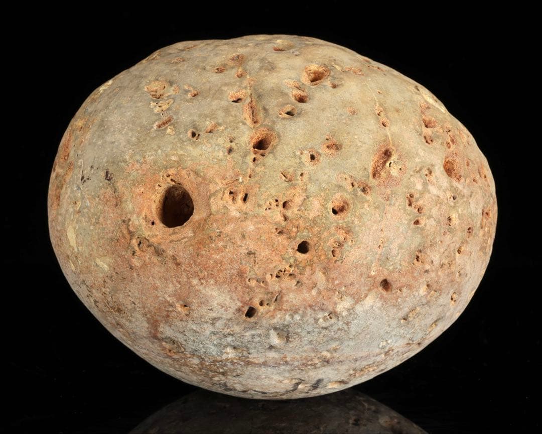 大型 多孔質 景石 火山岩系 5.8kg 台座付 自然石 鑑賞石 盆石 盆景