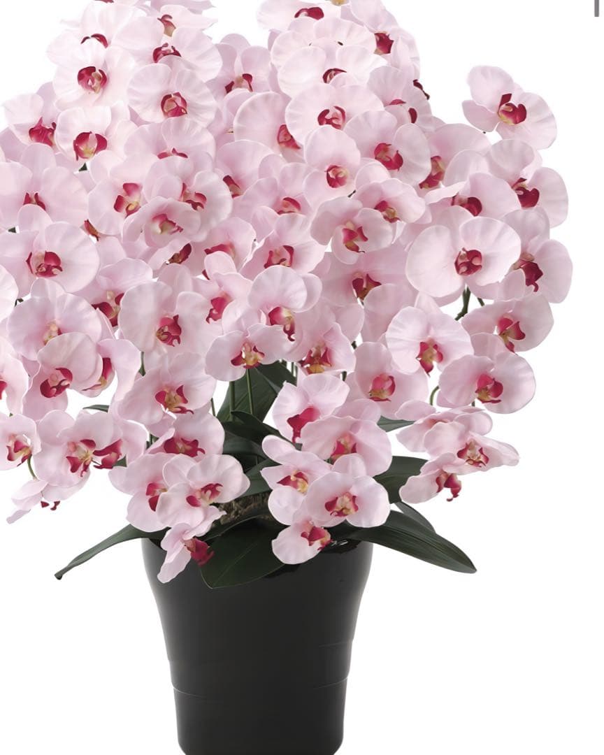 光触媒　人工観葉植物　フェイクグリーン　プレミアム胡蝶蘭7本立P