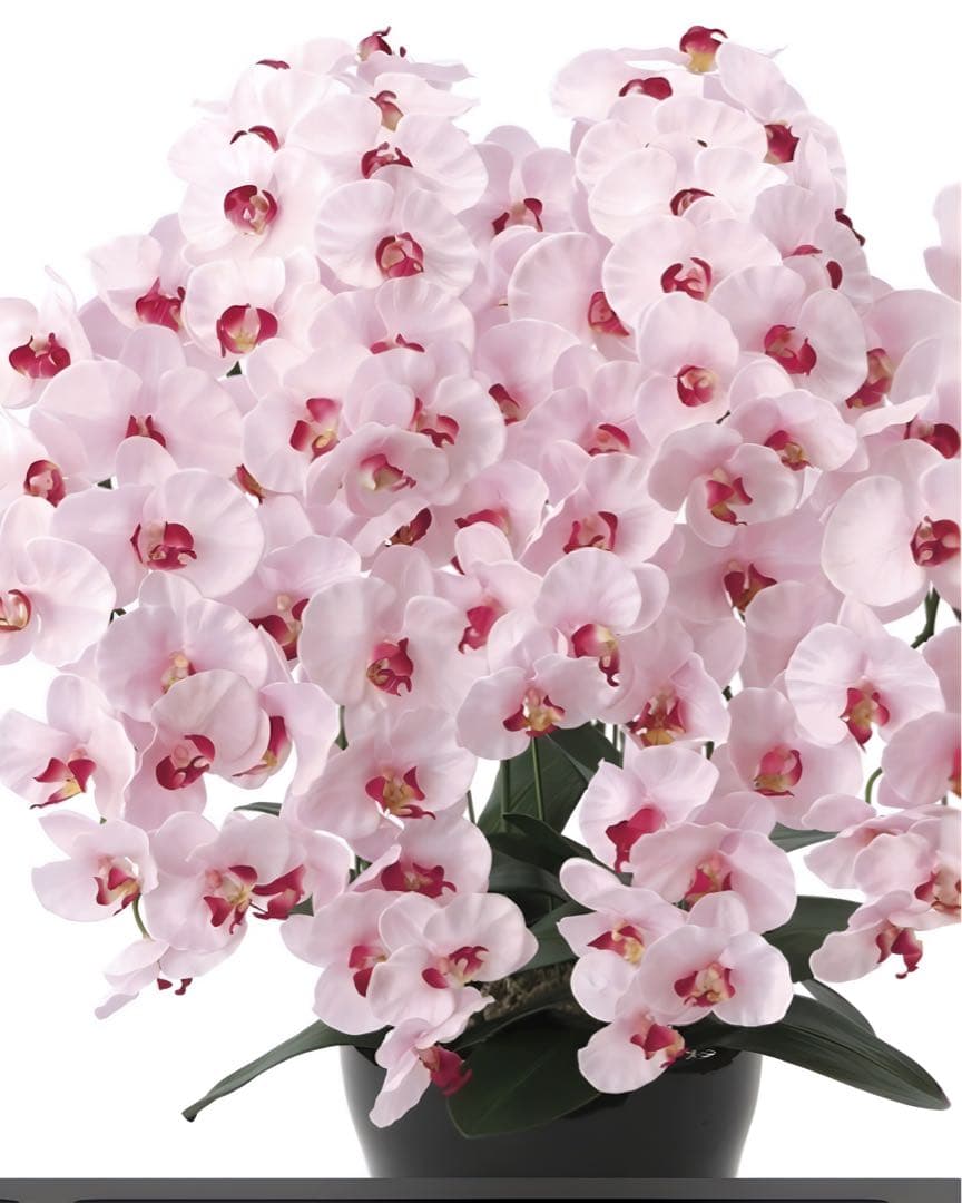 光触媒　人工観葉植物　フェイクグリーン　プレミアム胡蝶蘭7本立P