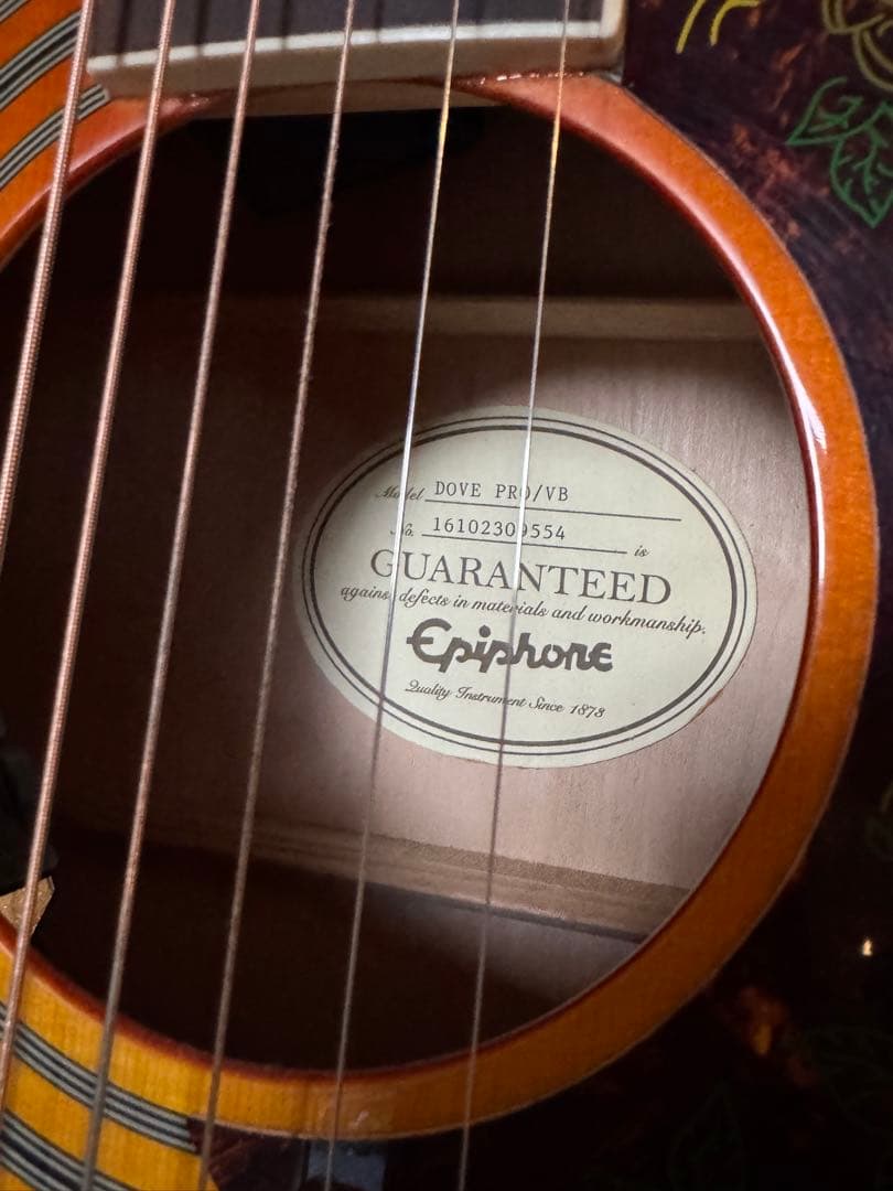 Epiphone Dove Pro エレアコ 即発送