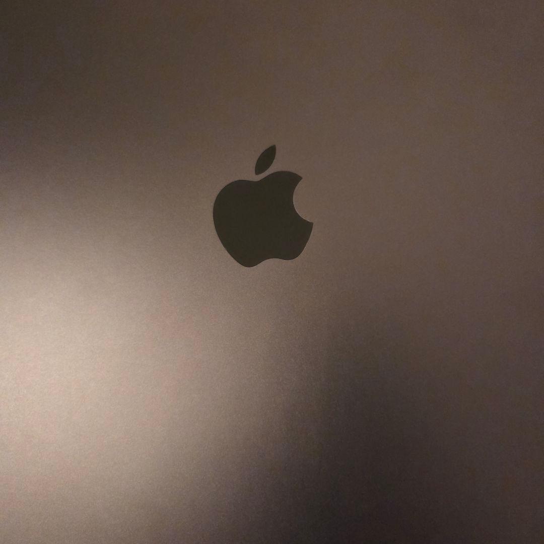 狸tampocon美品！iPad Pro&Apple Pencil Pro