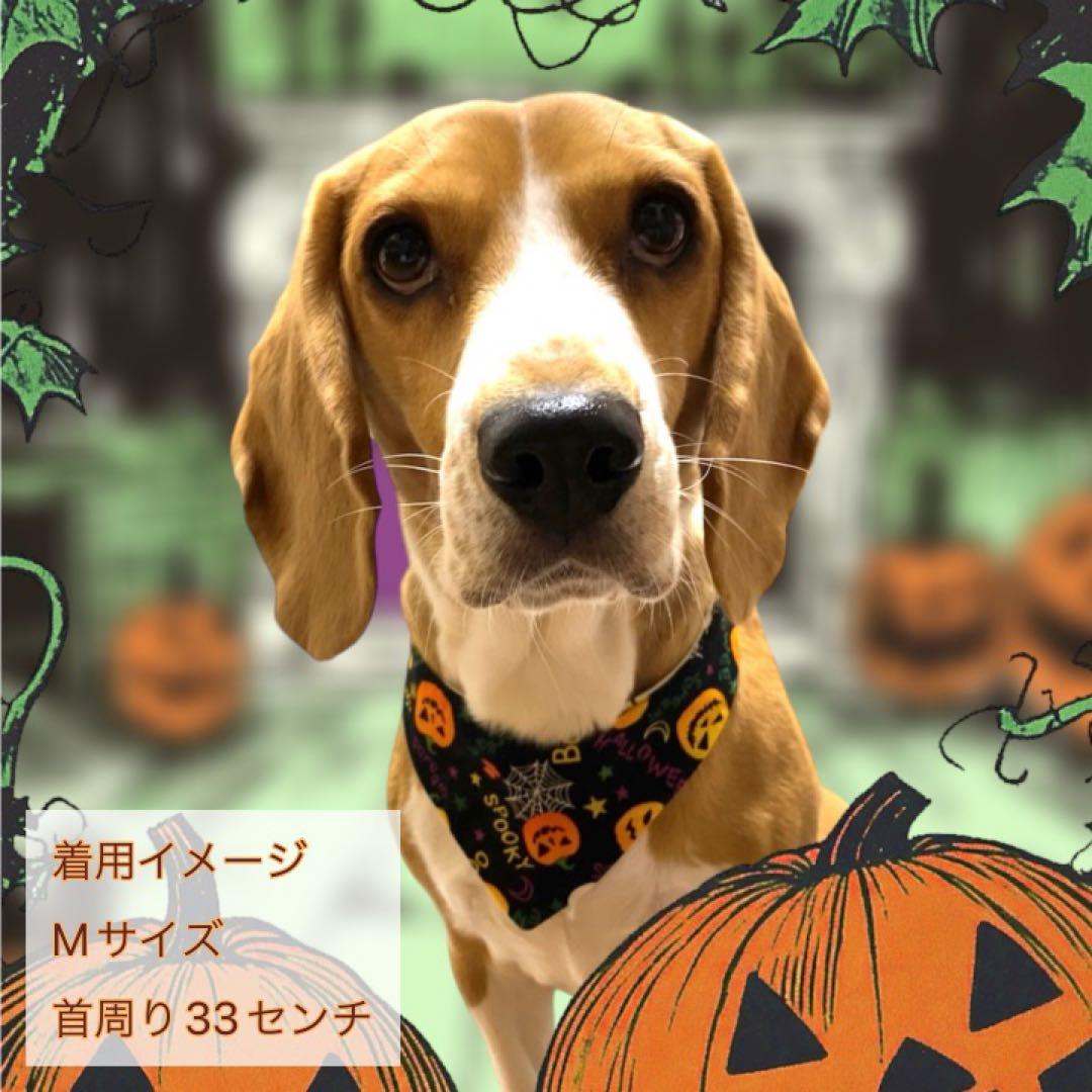 犬ネコ用リバーシブルバンダナ★着用イメージ写真★