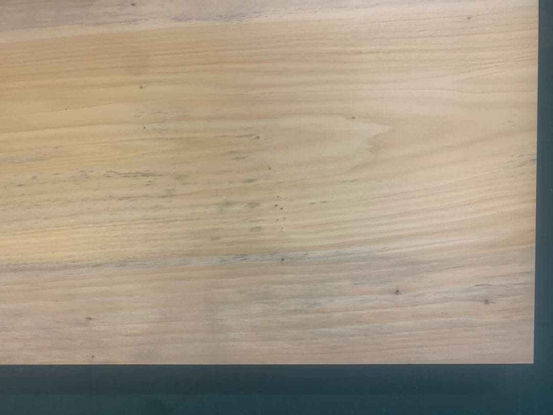 ☆勿体ない大きなイチョウのまな板【サイズ㎜865✖︎395厚み40】魚ジビエ