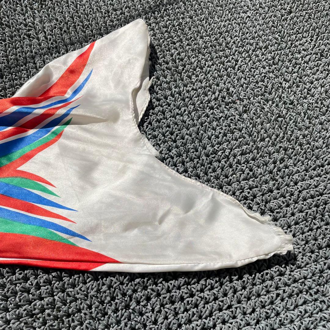 ◻️希少◻️岡本太郎　鯉のぼり