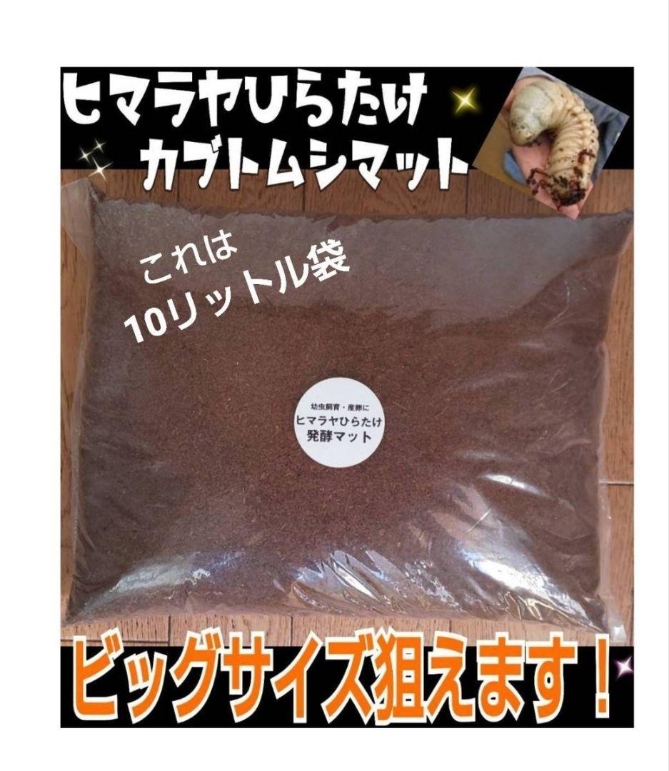 カブトムシ幼虫の餌　大きくなる！発酵マット【6袋】雑虫が湧きません！すぐ使える