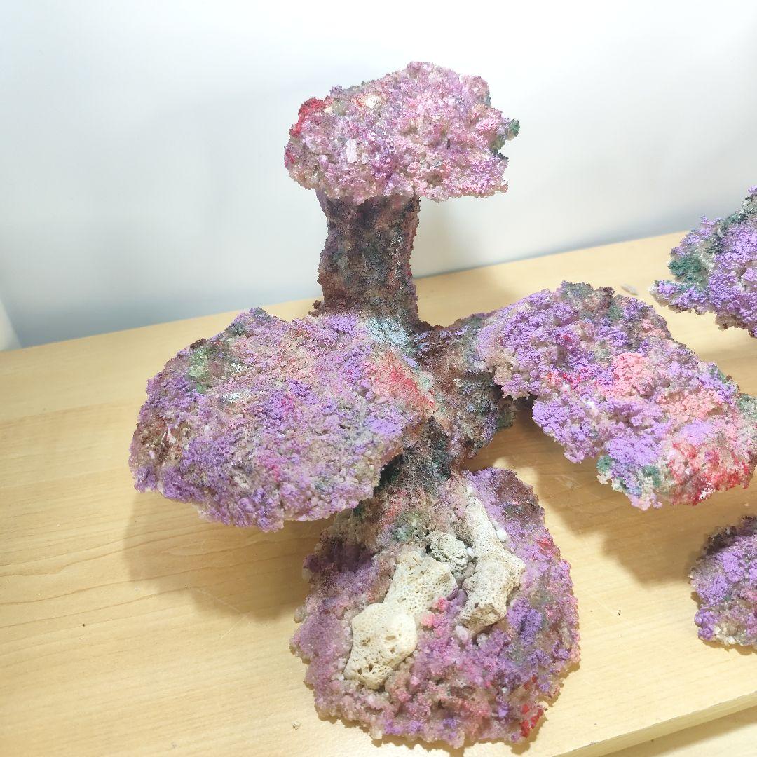 新品アク抜き不要 分離型人工ライブロック 60cm海水水槽用 レプリカ 多孔質4