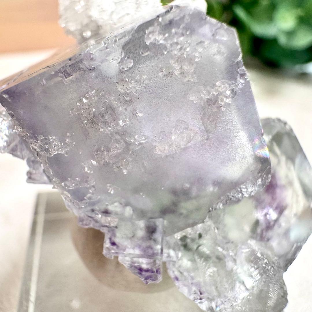 ◆【D021】フローライト 浙江省産 Bタイプ 原石 鉱物 標本