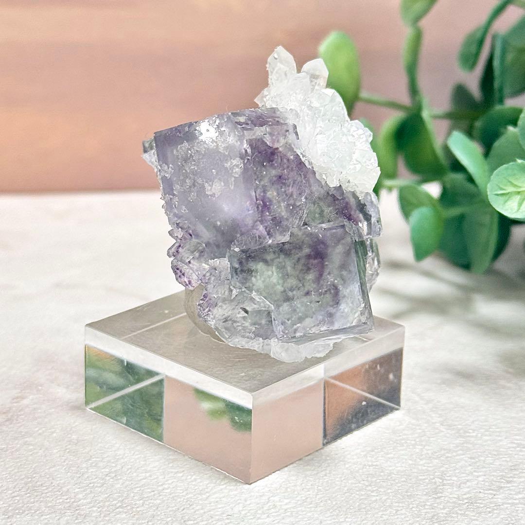 ◆【D021】フローライト 浙江省産 Bタイプ 原石 鉱物 標本