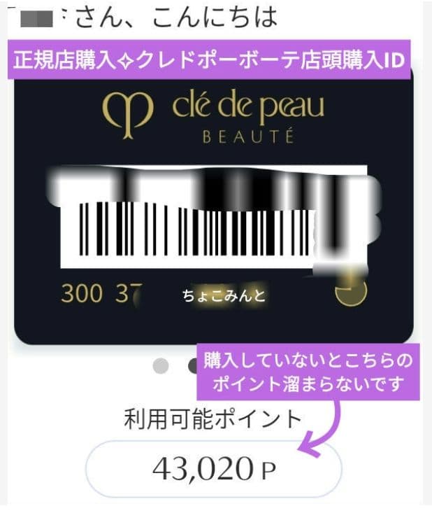 キヨッチページ❣️ クレドポーボーテ クレンジング クリーム &洗顔