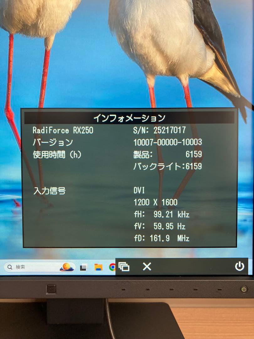 EIZO RadiForce RX250 医療用液晶モニター IPS 6159h