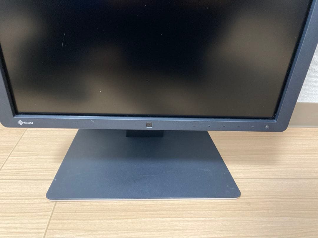 EIZO RadiForce RX250 医療用液晶モニター IPS 6159h