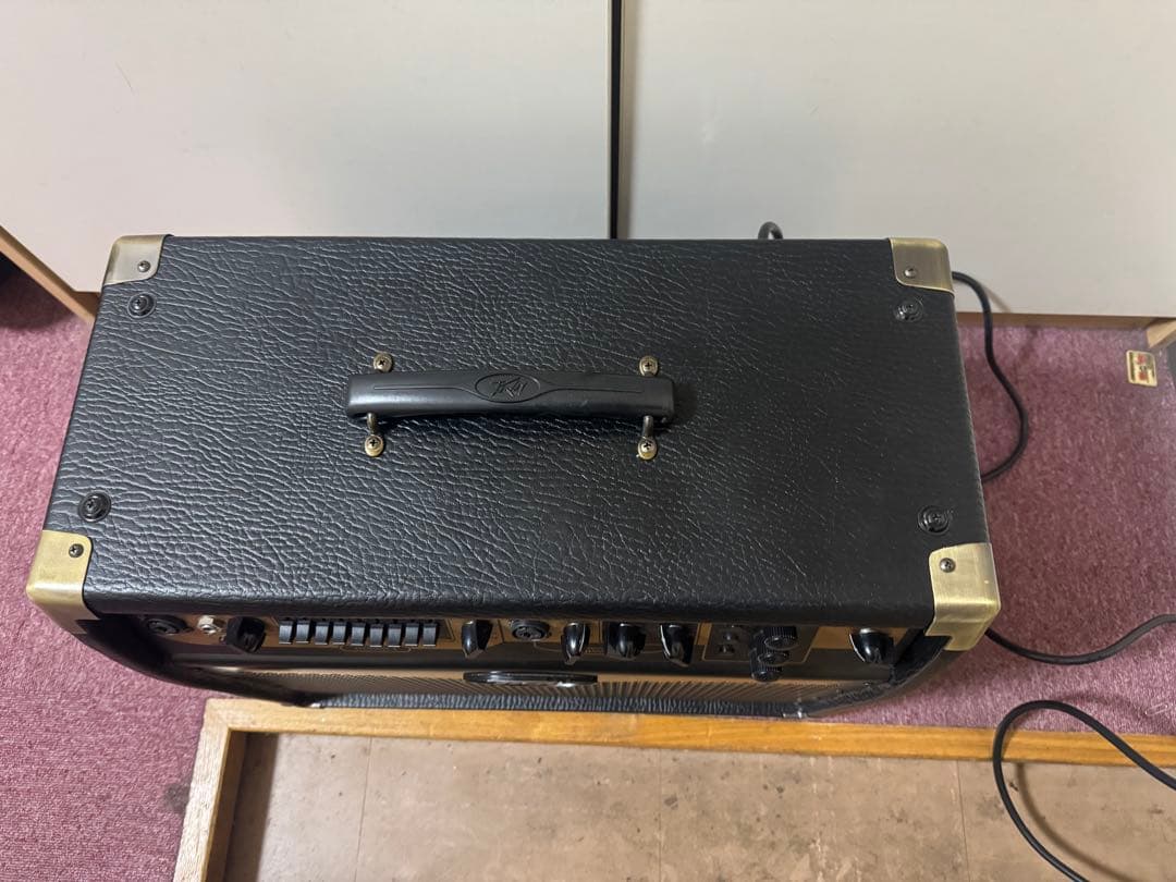 Peavey E110 アコースティックギターアンプ