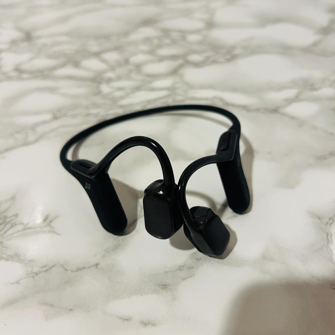 AVIOT 骨伝導 ワイヤレスイヤホン WB-E1 メタリックブラック