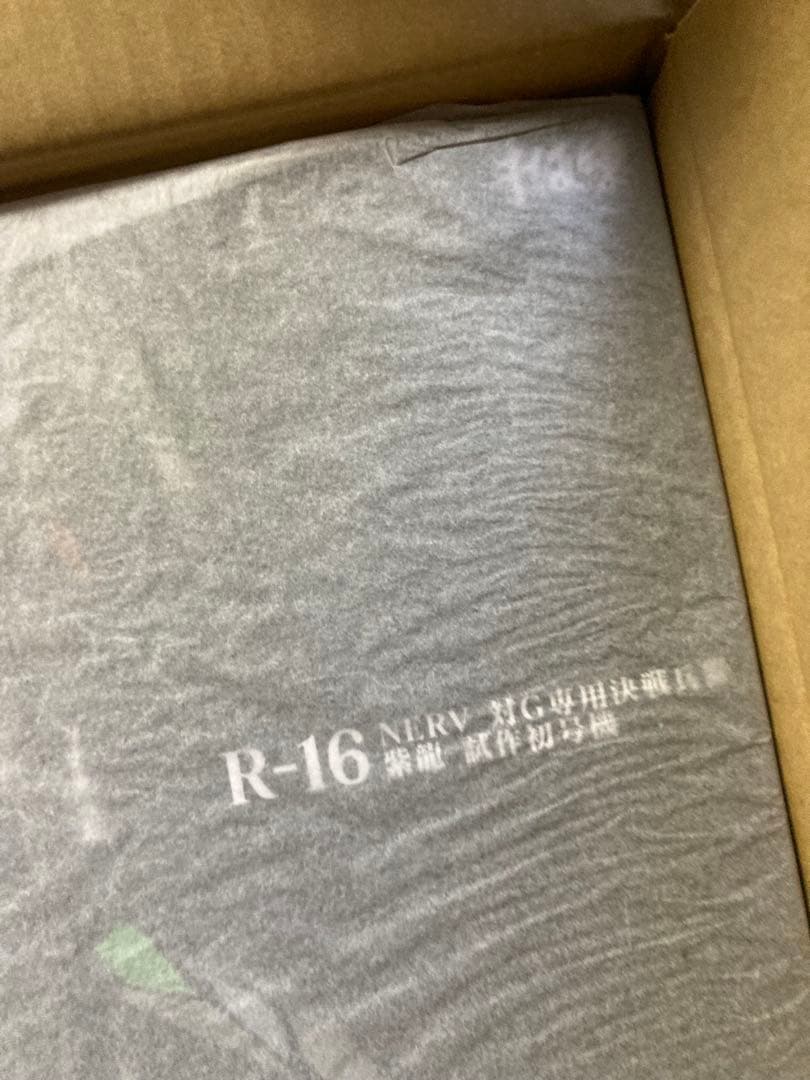 RIOBOT NERV対G専用決戦兵器 紫龍 試作初号機