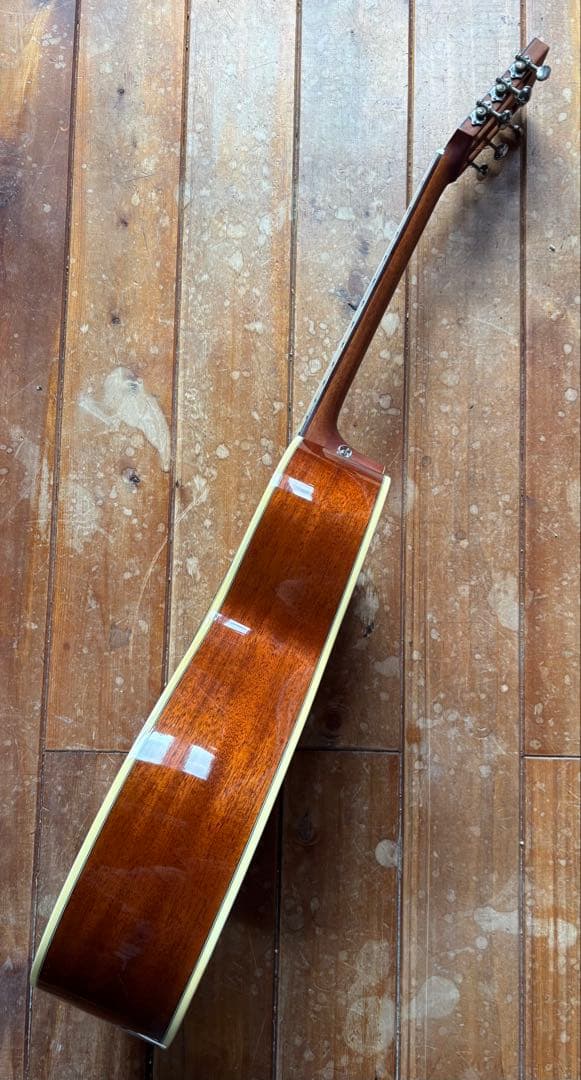 エレアコ DCT F-200E Fishman搭載