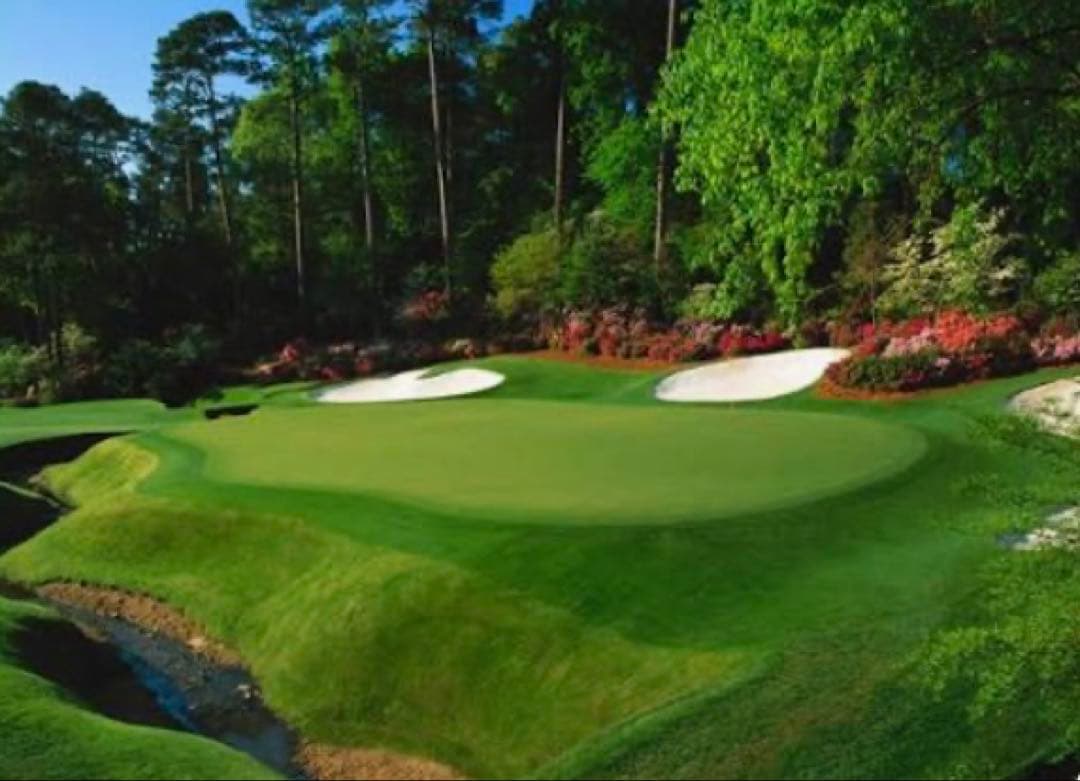 Psycho Bunny TECNO ART セルフスタンド バッグ