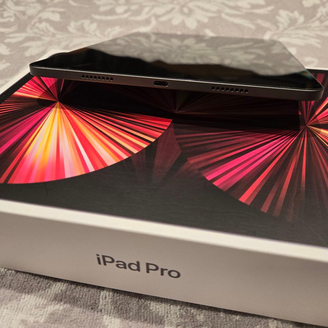 iPadPro11インチ第3世代256GBペン付き充電容量100%ココア！
