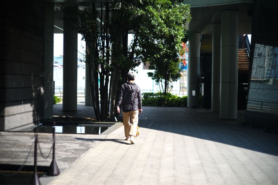 Leica Summicron 50mm f/2 単焦点レンズ　Lマウント