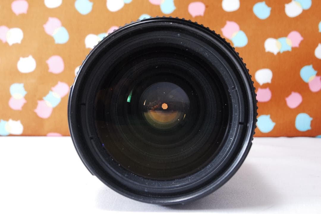 ✨ショット数5056回✨お安くデビュー✨Nikon D70 レンズセット