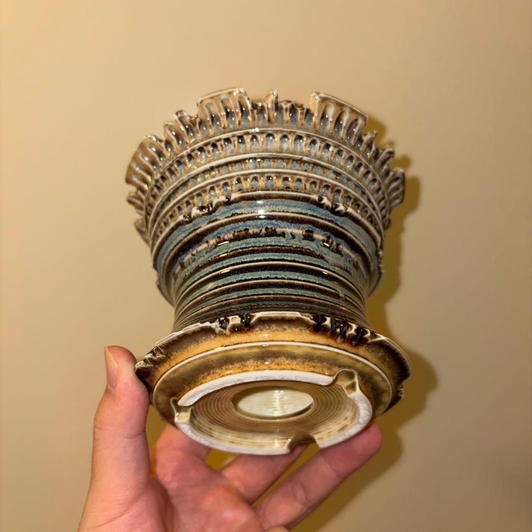 XL 植木鉢 作家鉢 アガベ グラキリス チタノタ オテロイ 笹の雪 帝冠 赤猫