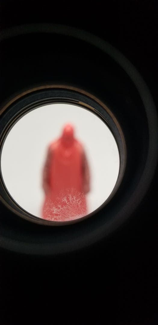 レンズ(単焦点) Canon EF 200mm f/2.8L