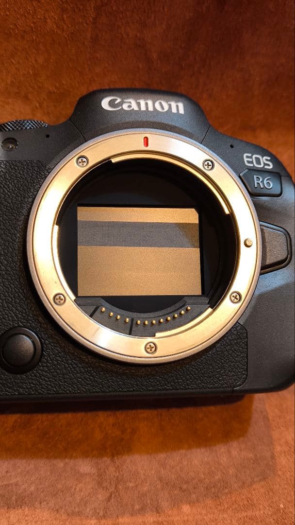 CANON EOS R6　ボディ