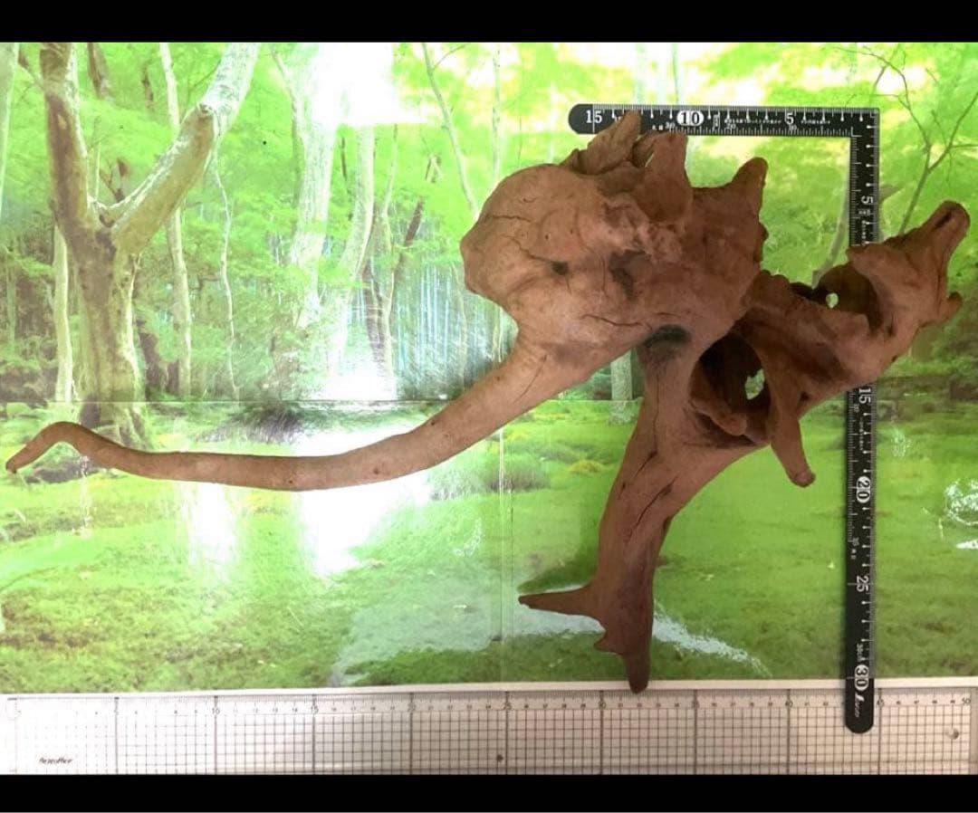 モスキート4点 天然水槽用流木