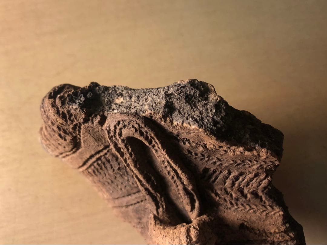 「縄文土器の欠片 No.534」です。