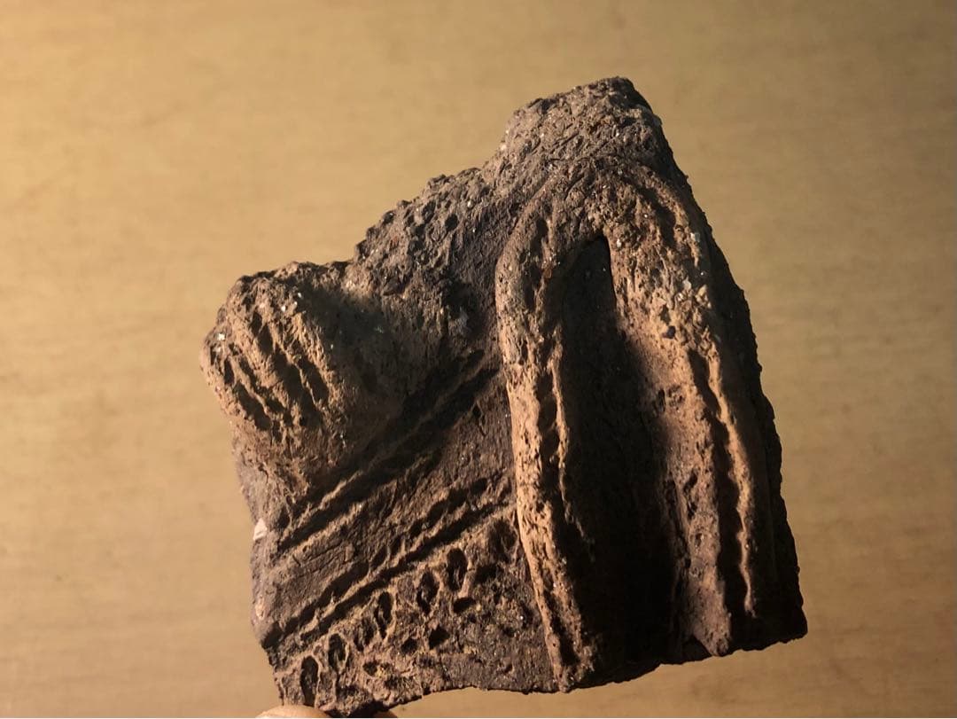 「縄文土器の欠片 No.534」です。