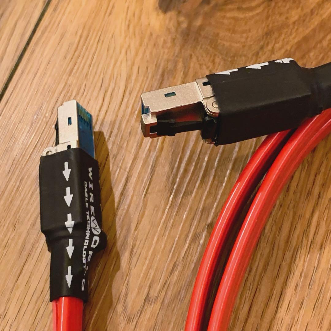 値下 美品 WIREWORLD LANケーブル Starlight8 (2m)