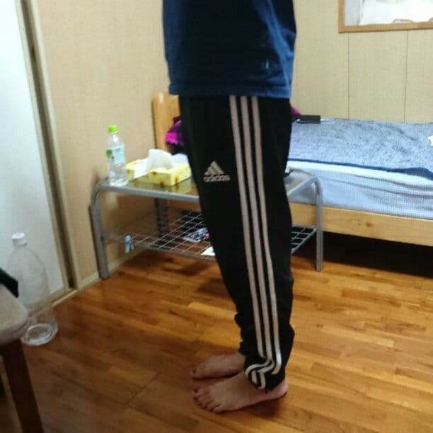 adidas 着画