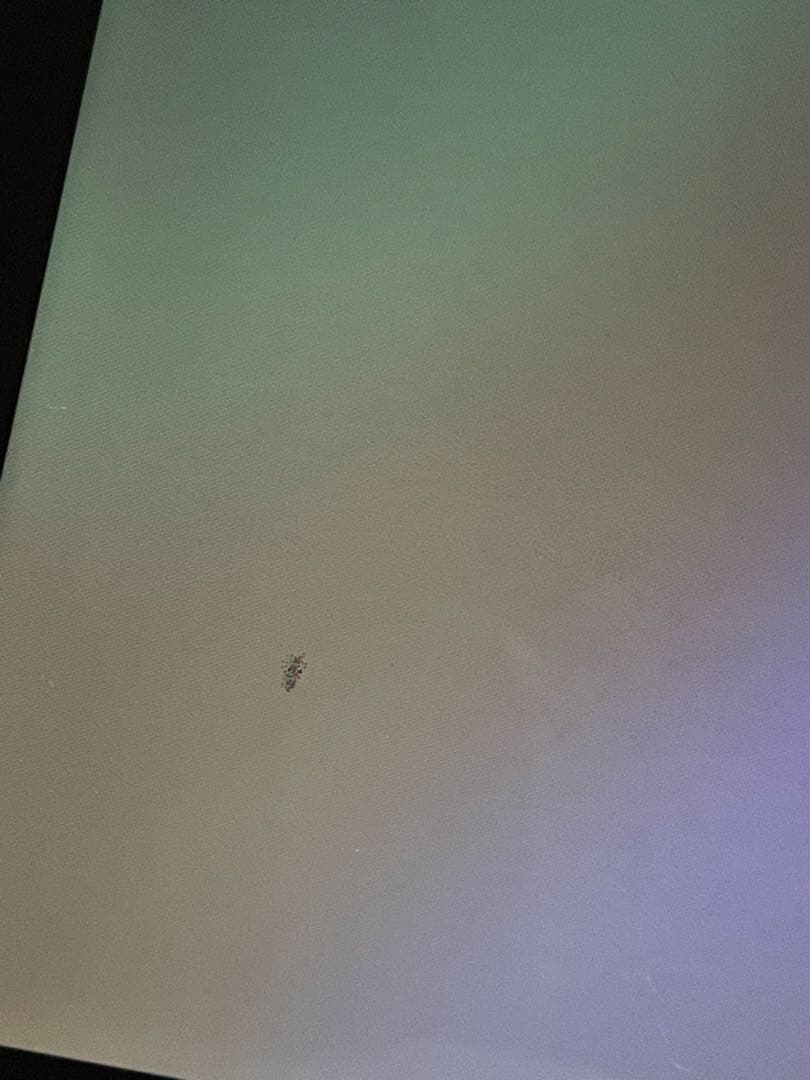 iPad本体 iPad Pro11 64GB