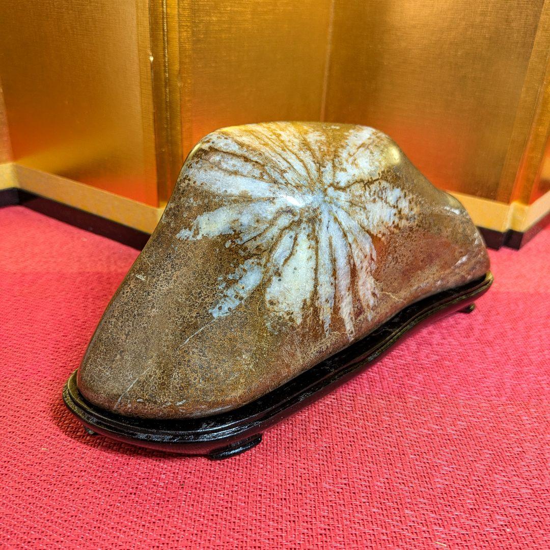 菊花石 岐阜県根尾谷産2.0㌔ 鑑賞石 観賞石 水石 盆石 天然石 置物