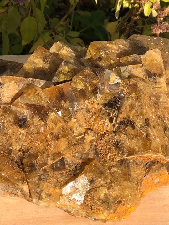 最高品質のフローライトゴールドの輝きがとてもゴージャスです‼️大特価SALE