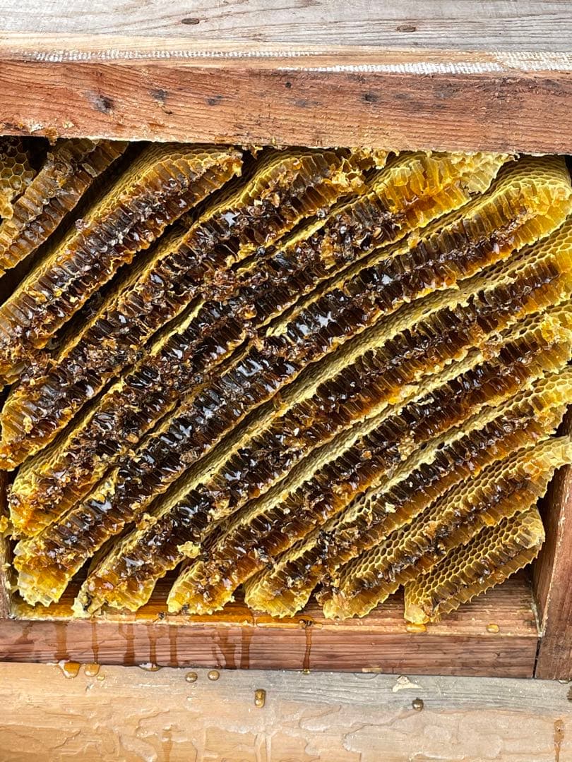 日本蜜蜂重箱式巣箱ハニーズハウス！スノコセット！超訳あり特価！継箱二箱追加！