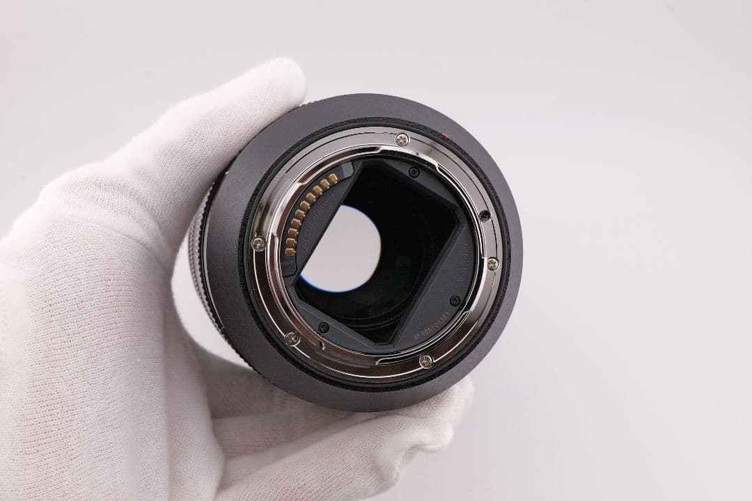 レンズ(ズーム) Panasonic LUMIX S 24-105mm F4 MACRO